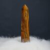 Tigers Eye - Pointer